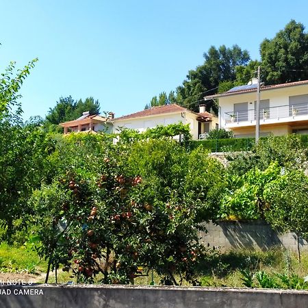 Bellavista Alojamento Arouca Exteriör bild